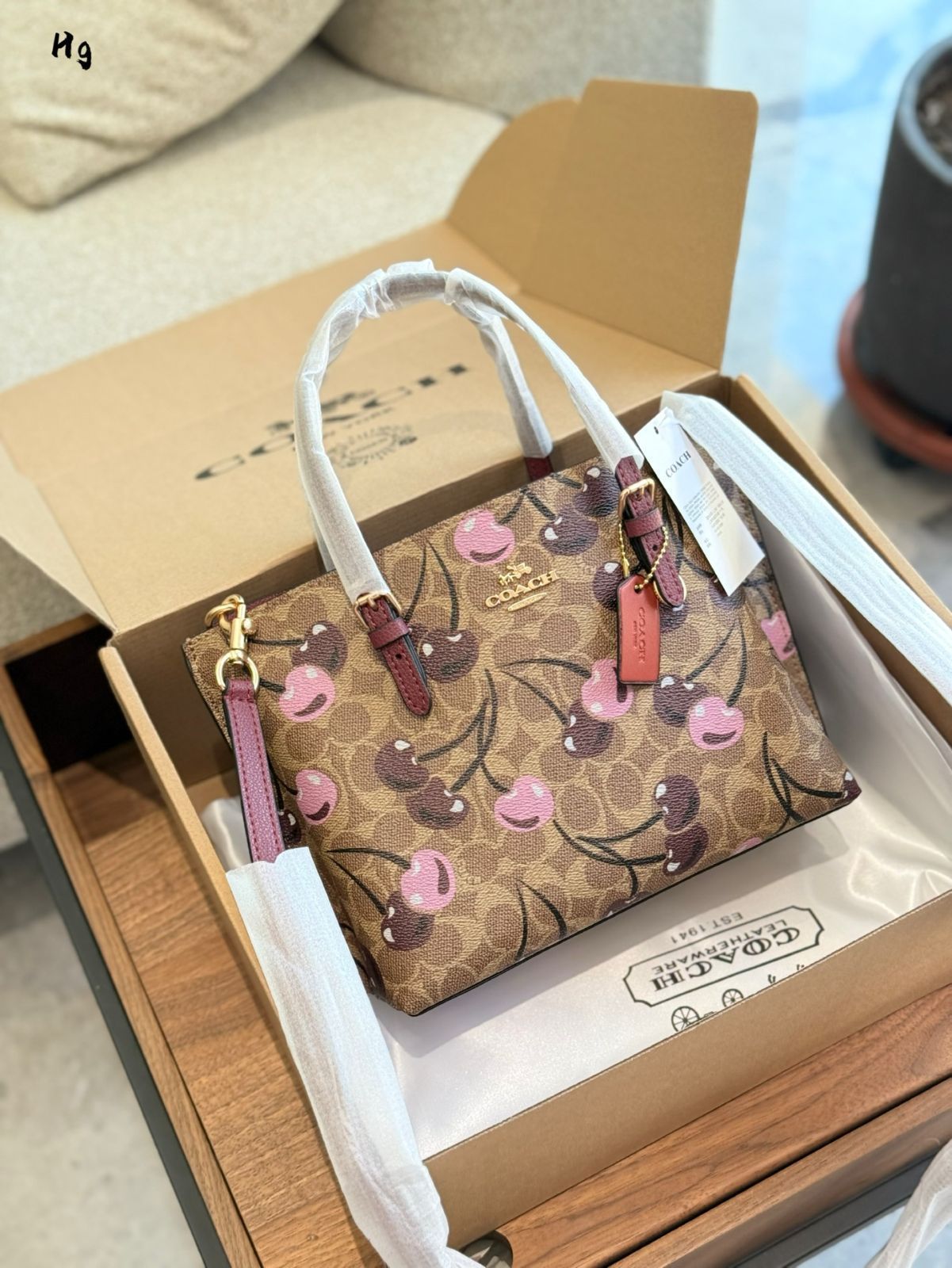 【可愛いチェリー柄★Coach★Mollieトートバッグ25 】 COACH® Outlet | Mollie Tote Bag 25 In Signature Canvas With