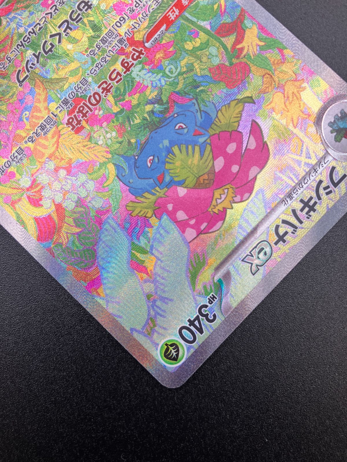 渦巻きホロ)ポケパークのアチャモ Pokemon PCGシリーズ 002/009