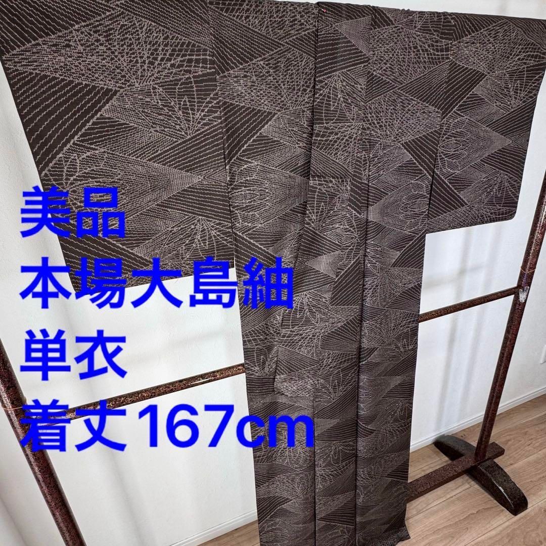 単衣 和装 着物 紬 本場大島紬 一元 正絹167 現代 泥染 トールサイズ