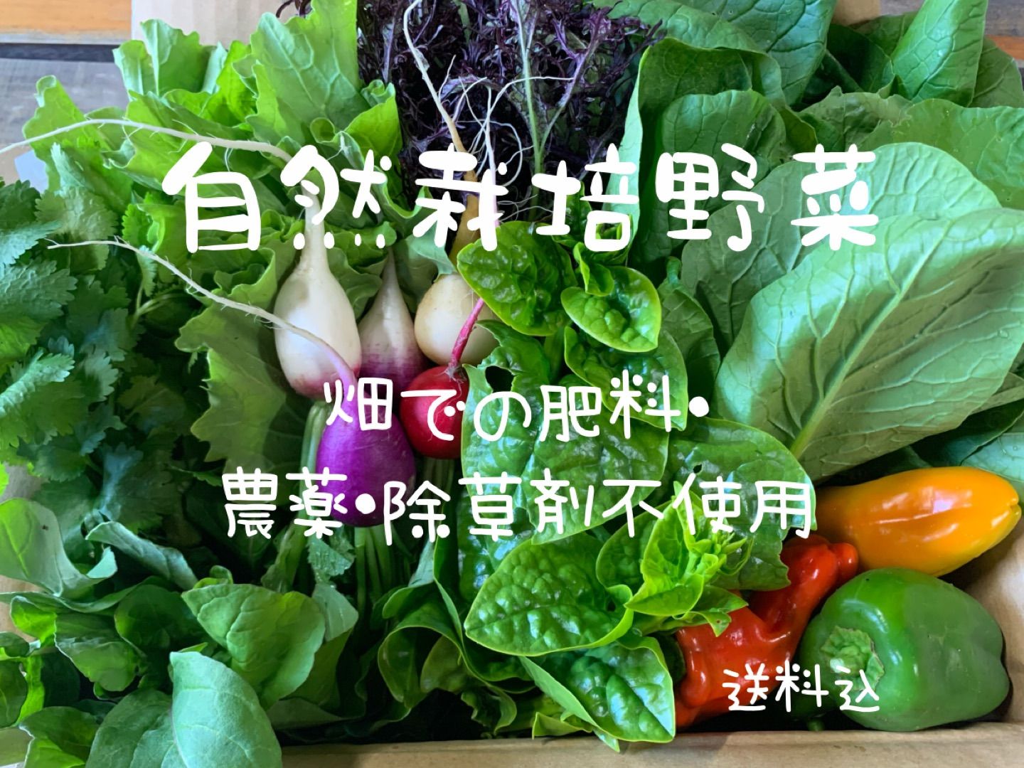 ♣︎冷蔵便♣︎自然栽培野菜のセット☆ 畑での肥料・農薬・除草剤不