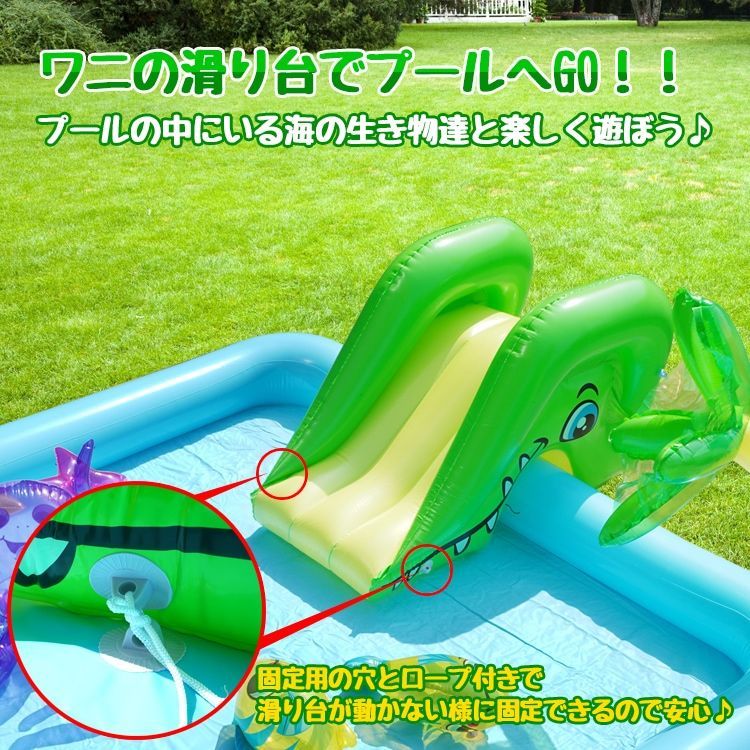 プール
