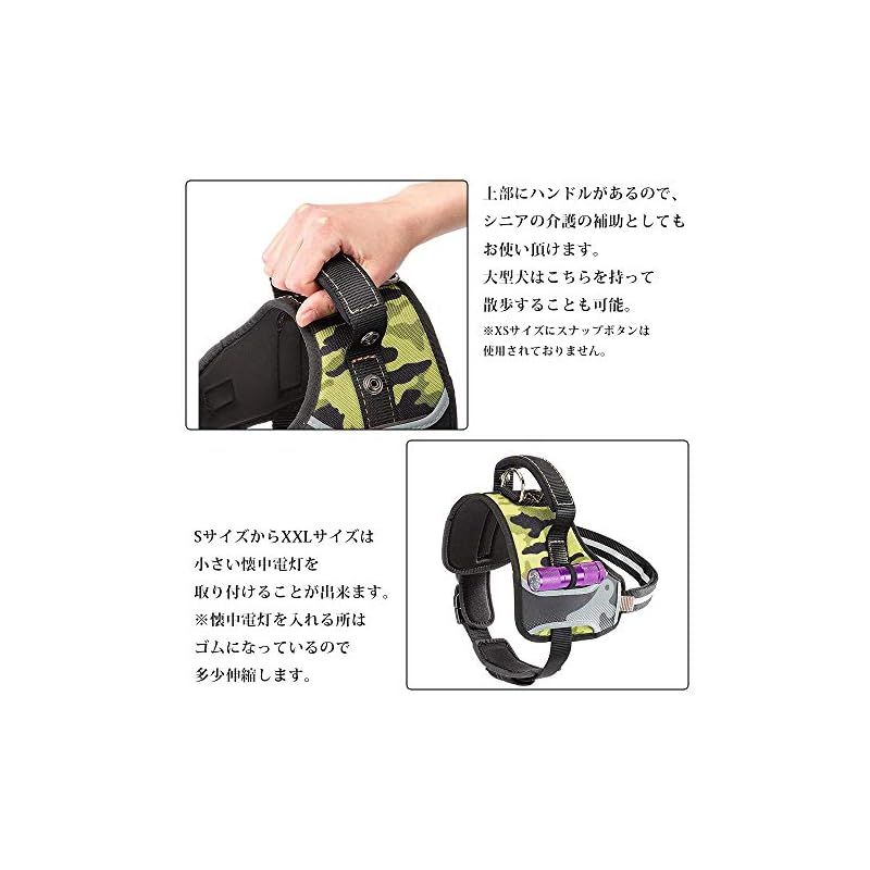 ハーネス CAMMIE