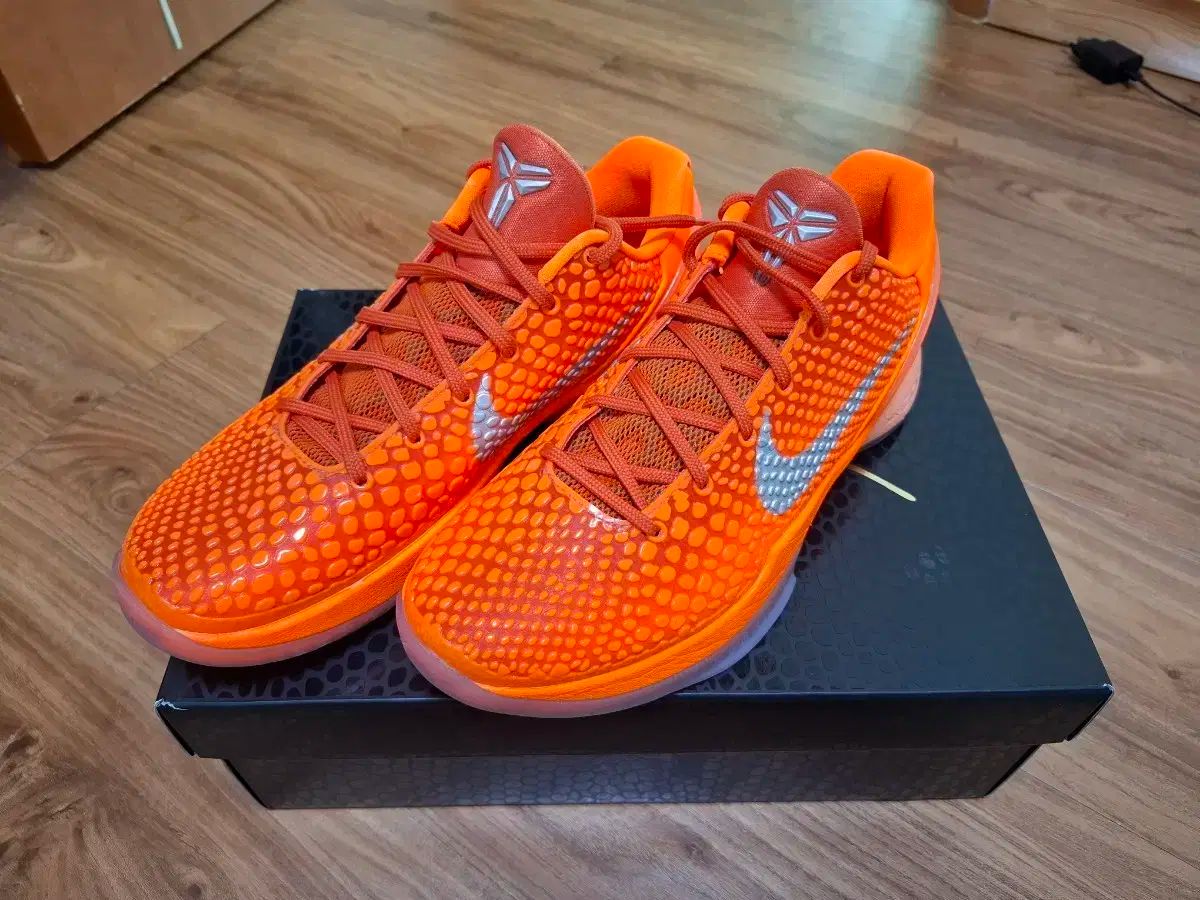 ナイキ コービー6 プロトロ トータルオレンジ 260