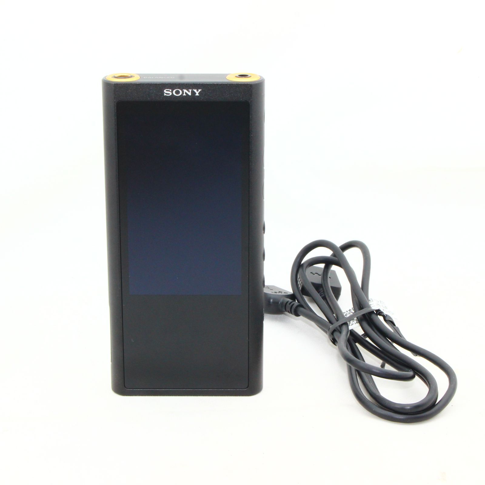 WALKMAN ZX300シリーズ メモリ128GB ブラック NW-ZX300G - メルカリ