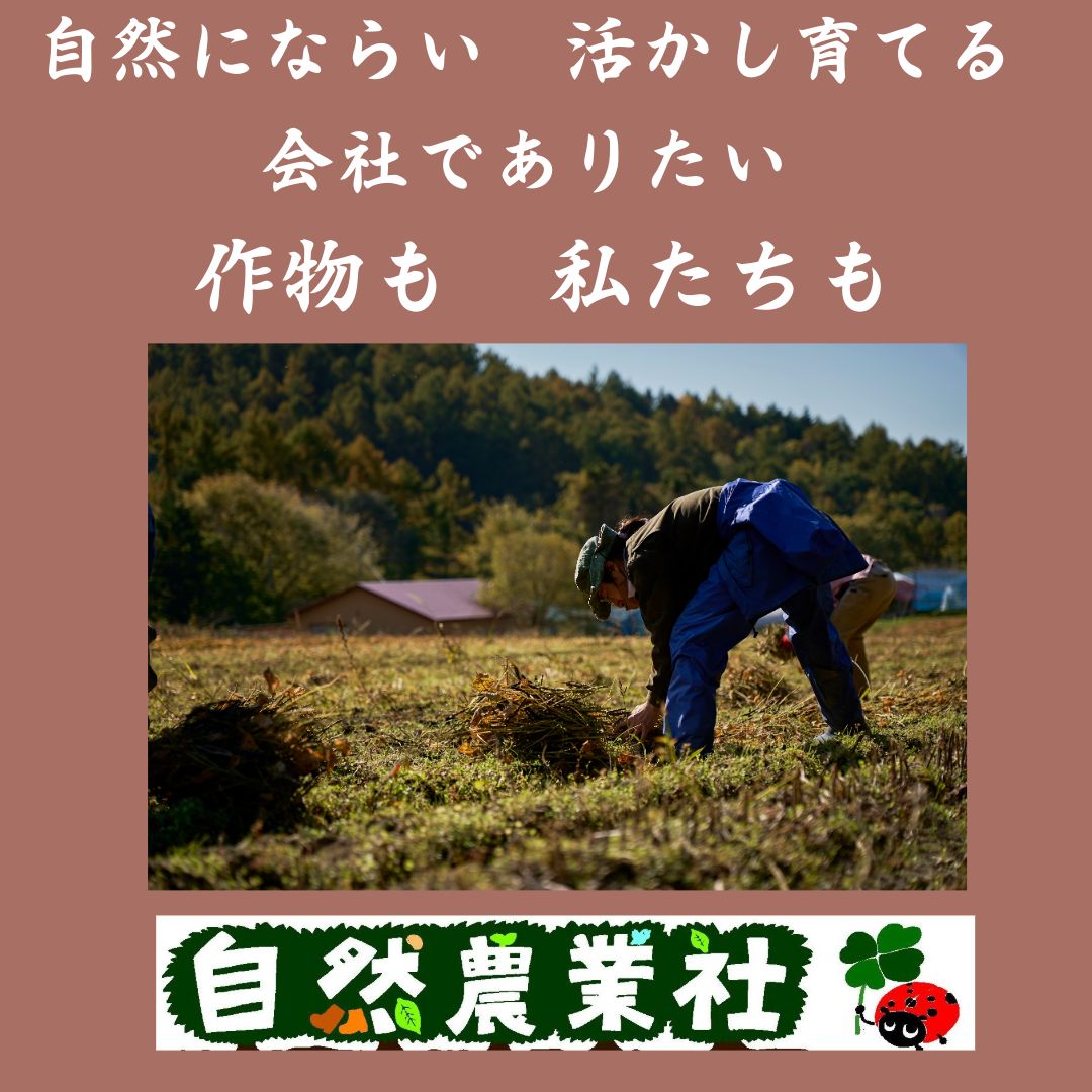 有機大豆10kg(1kg×10) 農薬・化学肥料・除草剤不使用 北海道産とよ