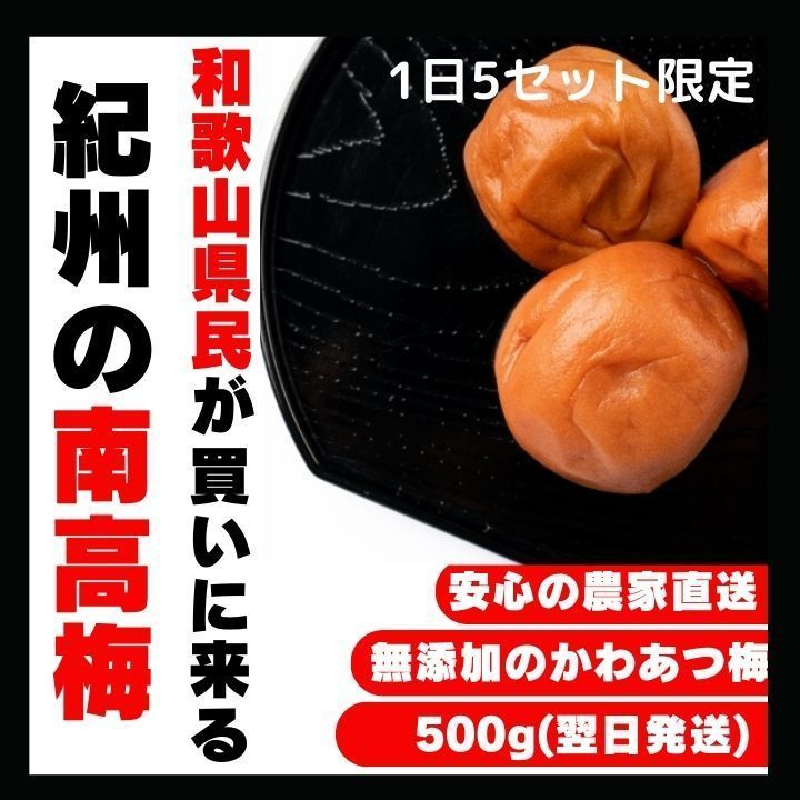 限定！ 紀州南高梅 1kg かわあつ梅 無添加 和歌山 紀州 白梅 【公式通販】