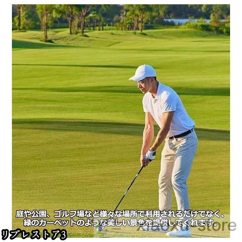 人工芝 ロール 1m×10m 人工芝生 人工芝マット 芝マット 高耐久 芝生 雑草 芝ロール 夏色 春秋色 UVカット 庭 ガーデニング ベランダ xzdskgr WWW_GEBZETESISAT_COM_TR