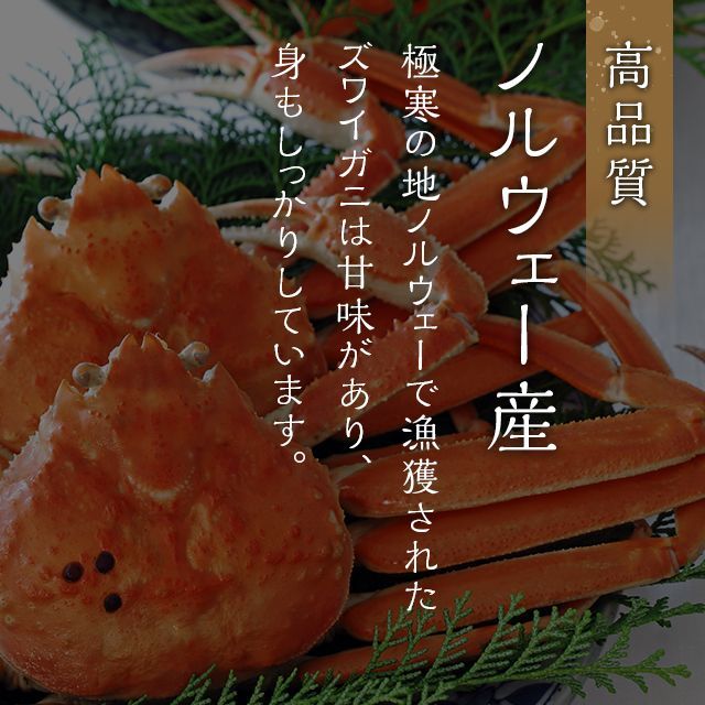 なくなり次第終了 数量限定【目玉商品コーナー掲載イベント価格】豊洲
