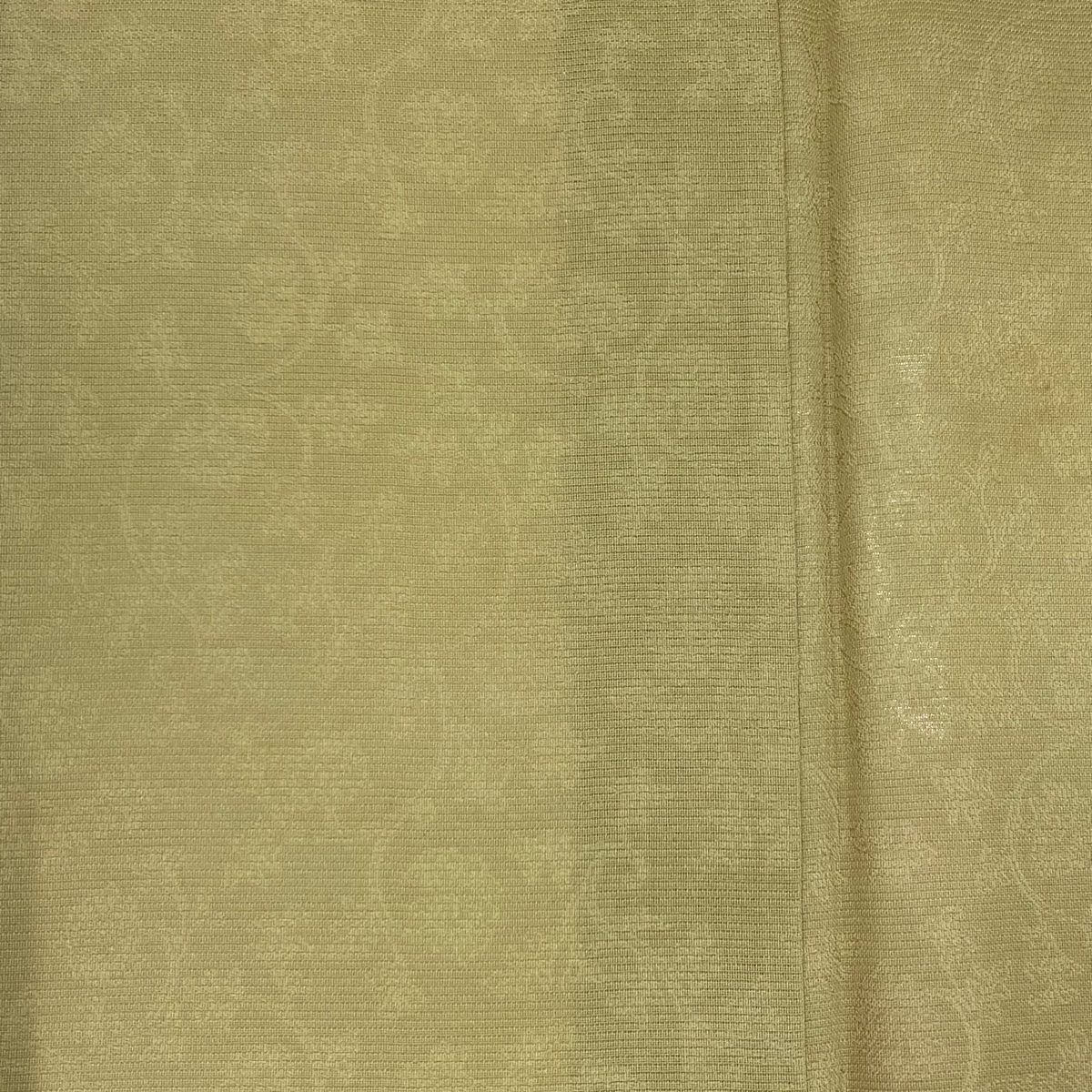 色無地 身丈163cm 裄丈67.5cm L 薄物 地紋 抹茶色 正絹 名品 【中古  