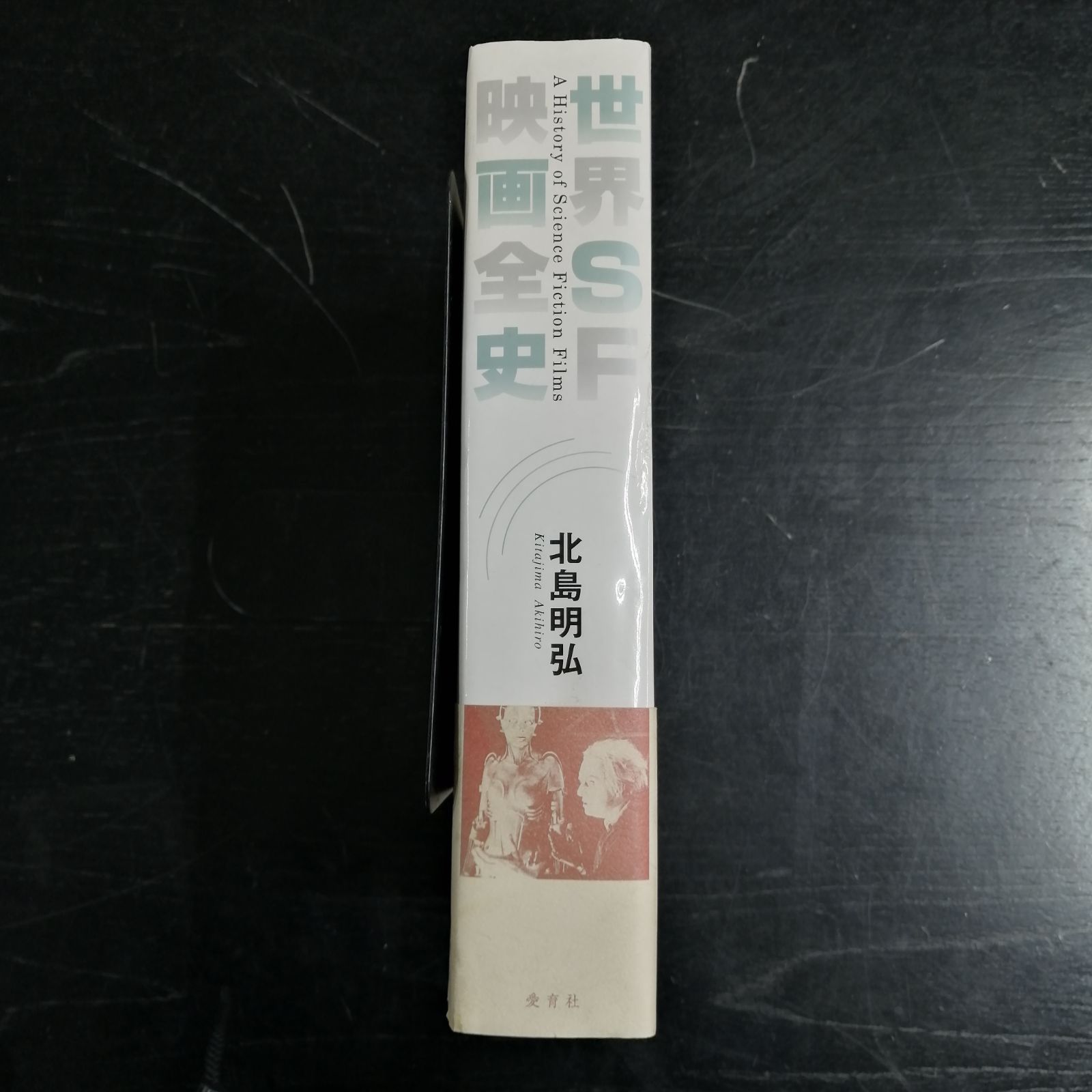 翌日発送】冥土人形ヴァミリアバレル ココア 冥土人形ヴァミリアバレル