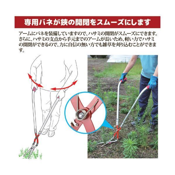 草刈かっちゃん