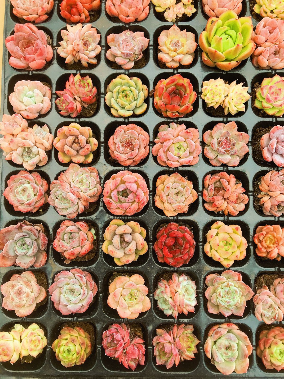 スロットサブ基板 稼働確認済 パチスロ 実機用 部品 ハーデス 凱旋 絆