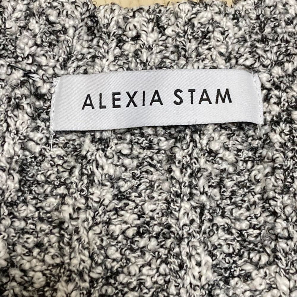 美品 24SS ALEXIA STAM アリシアスタン ニットベスト フリーサイズ ホワイト×ブラック レディース 古着 中古 USED 美品 24SS ALEXIA STAM アリシアスタン ニットベスト
