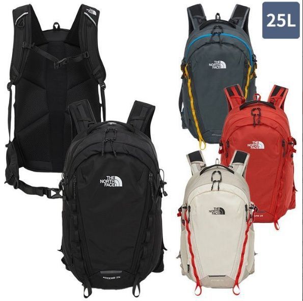 THE NORTH FACE ザノースフェイス リュック 25L ASCEND LT 25 アセンドエルティ25 学生 通学 通勤 大人 おしゃれ かわいい カジュアル 旅行 メンズ レディース 男女共用 NM2SQ11