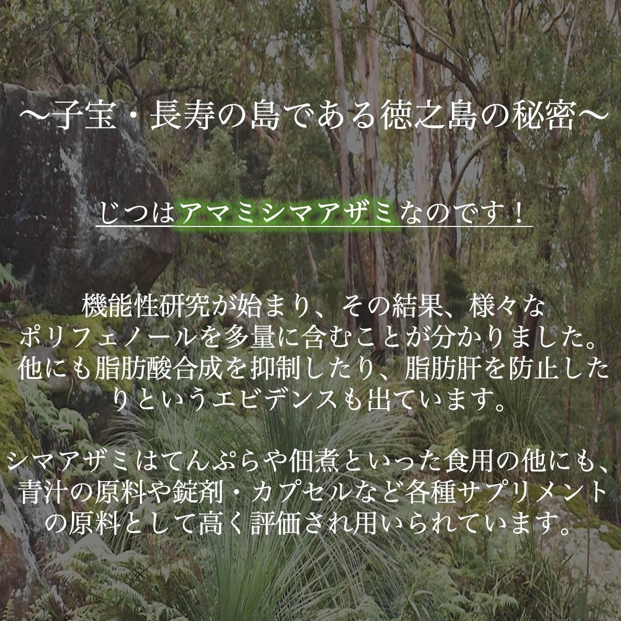 ゼロカロリーの 生エクソソーム