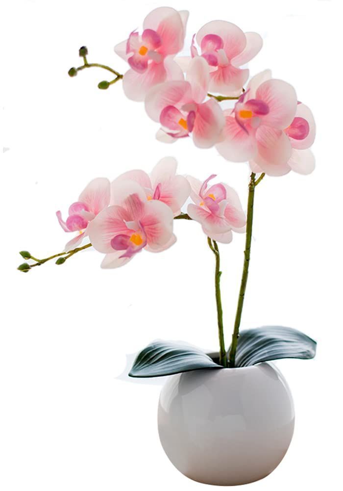 Kugusa ミニ 胡蝶蘭 造花 鉢植え インテリア 人工 観葉植物 フェイク 敬老の日 誕生日 (淡いピンク（丸鉢）)