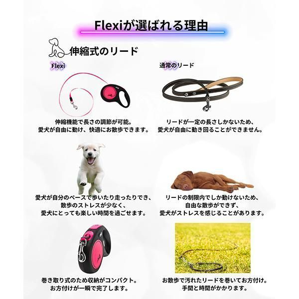小型犬