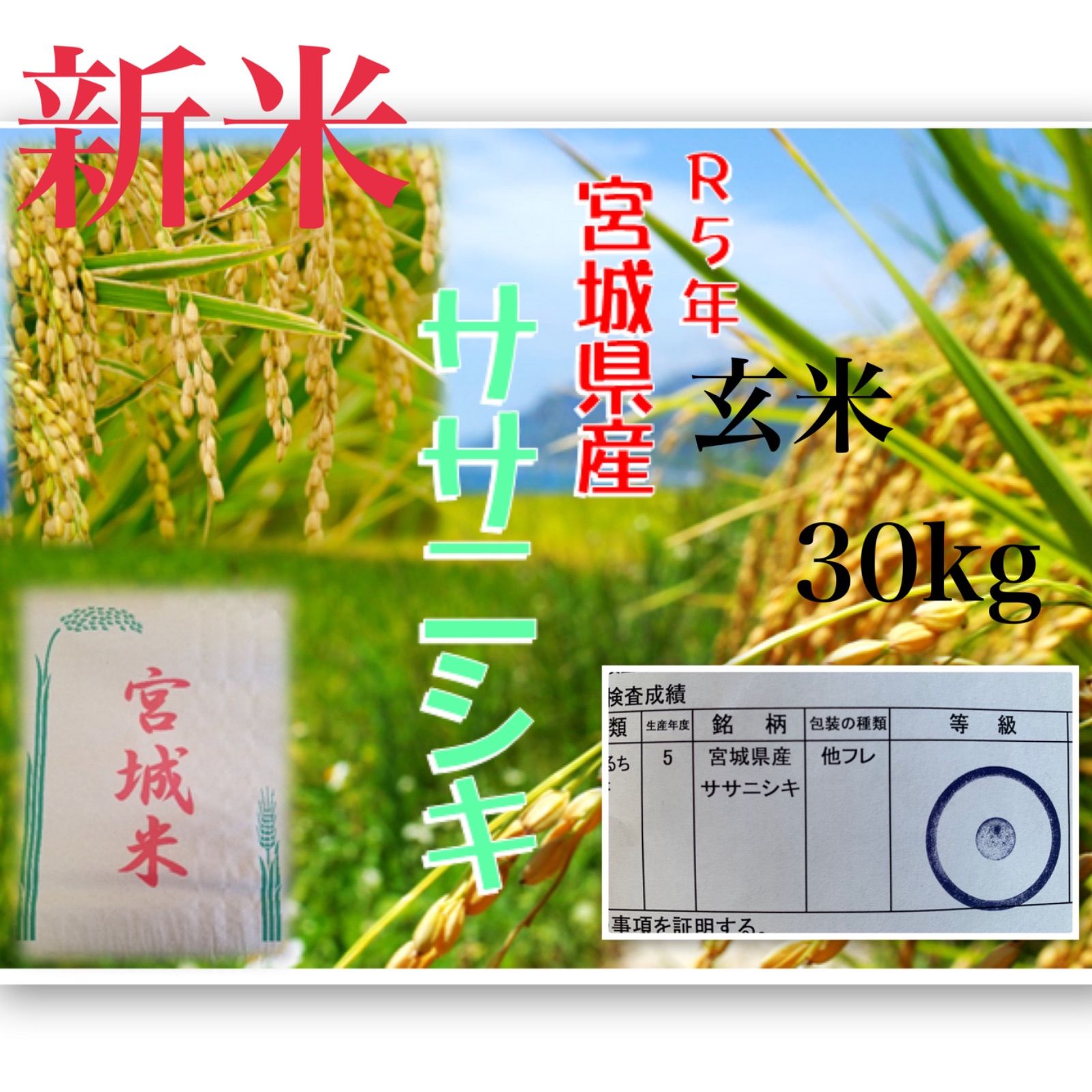 宮城県 新米　5年産　1等米　ササニシキ　玄米30kg 希少米