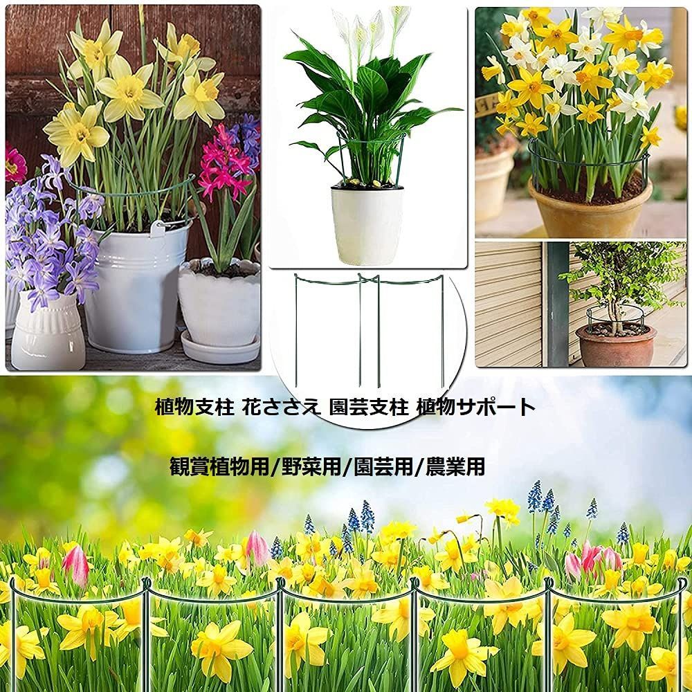 園芸支柱 植物サポート 花ささえ 観葉植物 つる性植物 35*20cm 観葉支柱 誘引 支柱 4点セット 簡単設置 花支え 支柱棚 植物支柱 フラワー支柱  ガーデニング 観賞植物用/野菜用/園芸用/農業用 Yivoumi (35*20cm 4点セット) - メルカリ