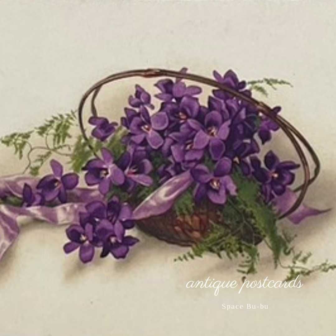 アンティーク ポストカード フランス スミレの花束
