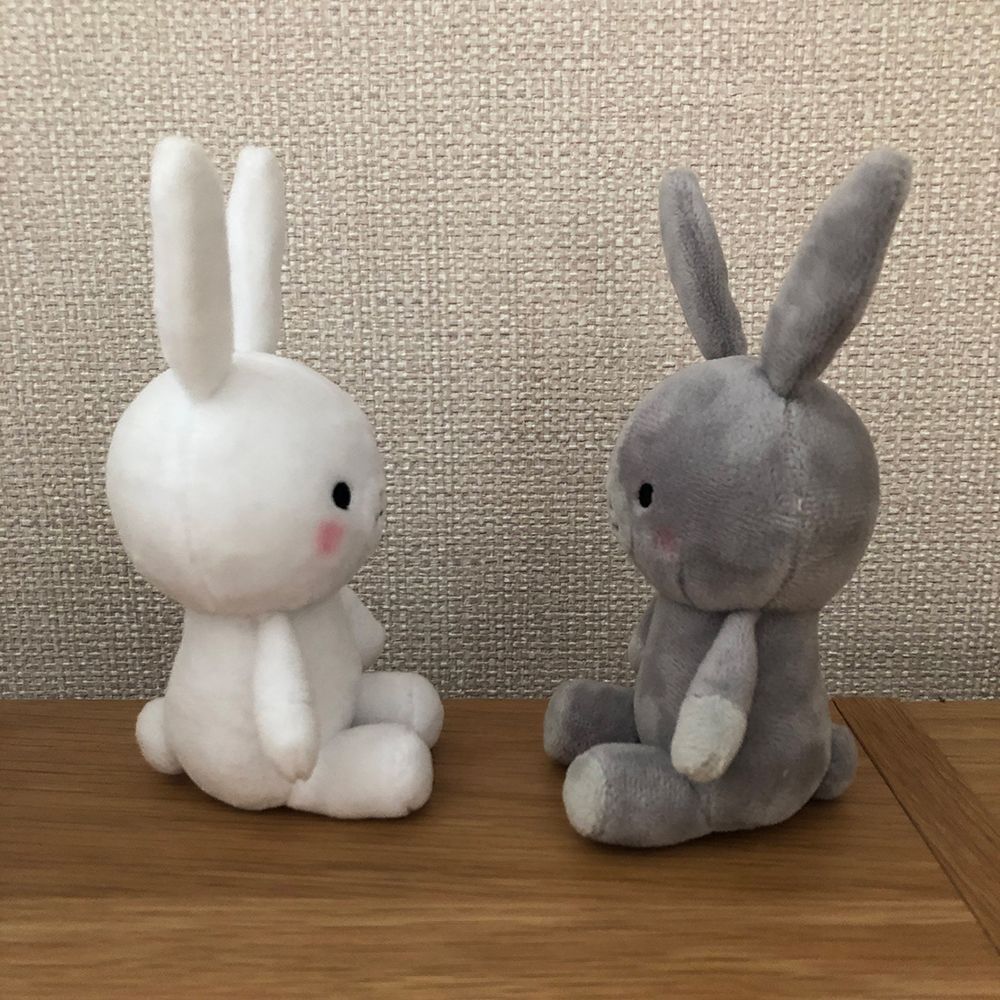 なかよしうさぎぬいぐるみ（白・グレー）とポストカード - メルカリ