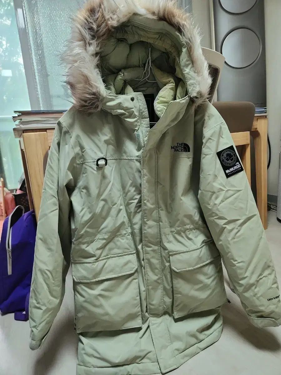THE NORTH FACE ザノースフェイス マクマード ダウン 170 ライトグリーン