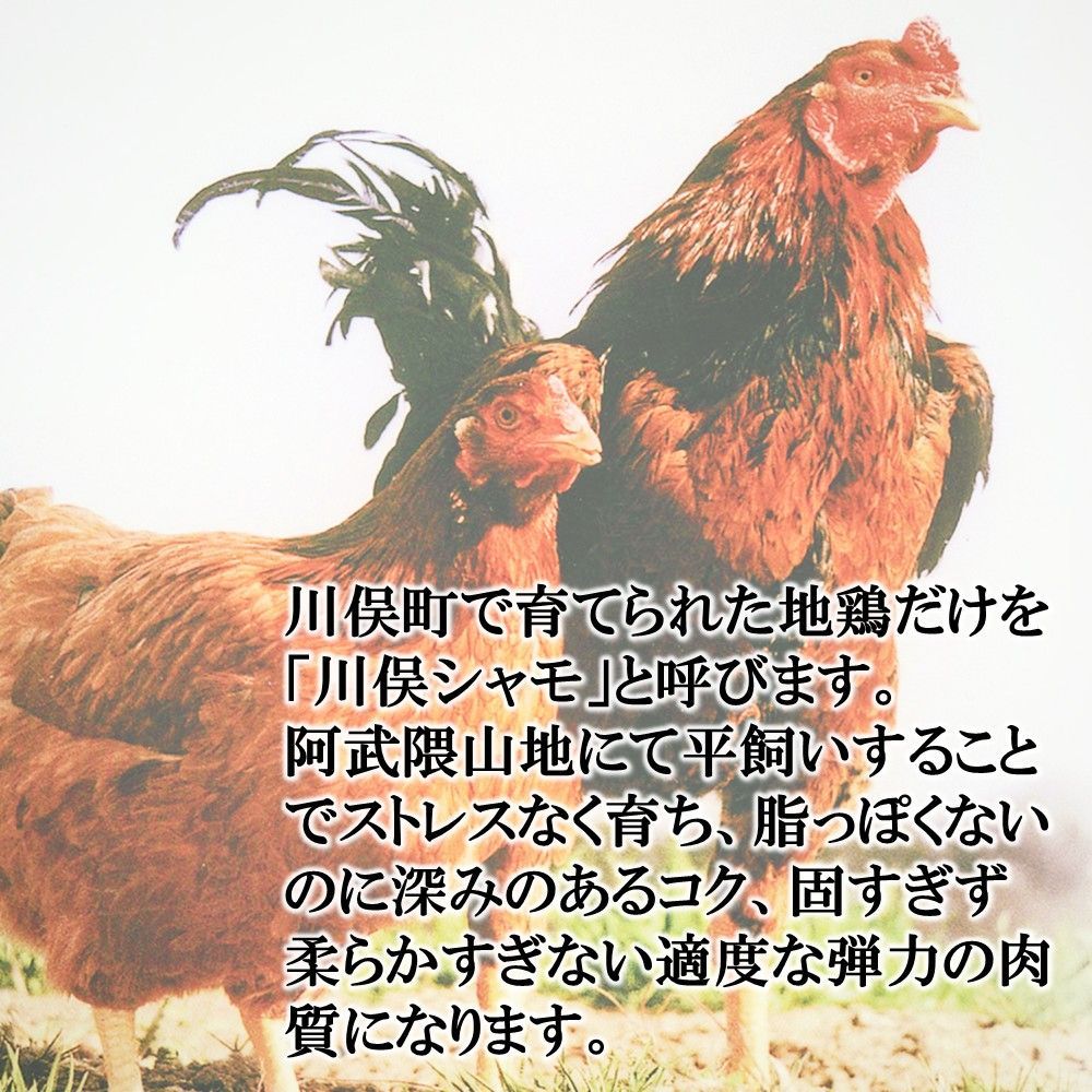 | 鶏肉