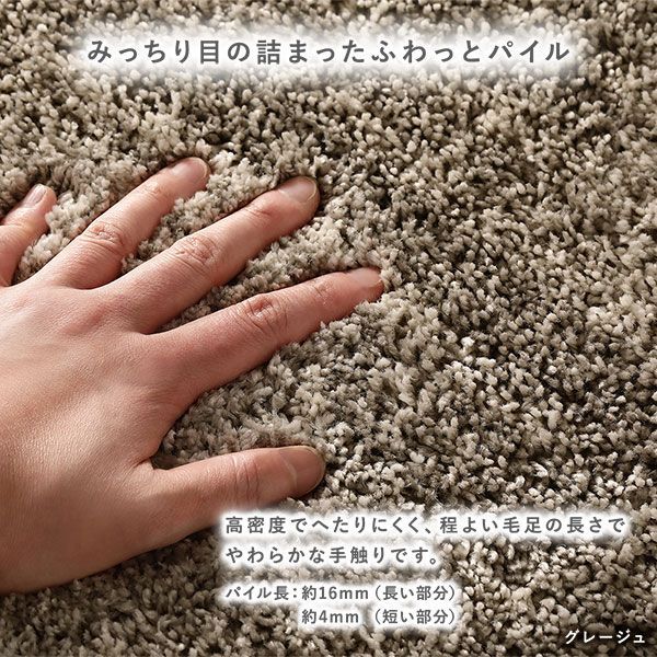 アレルブロック