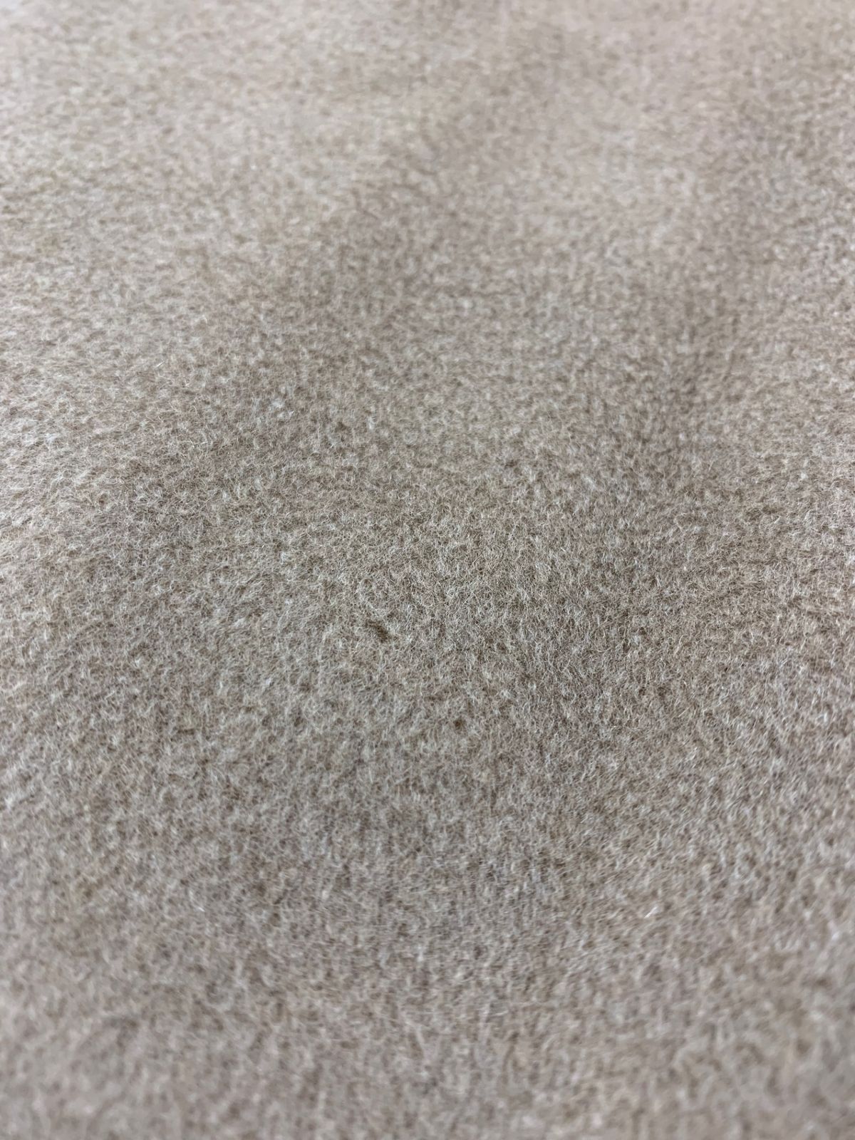 キャメル