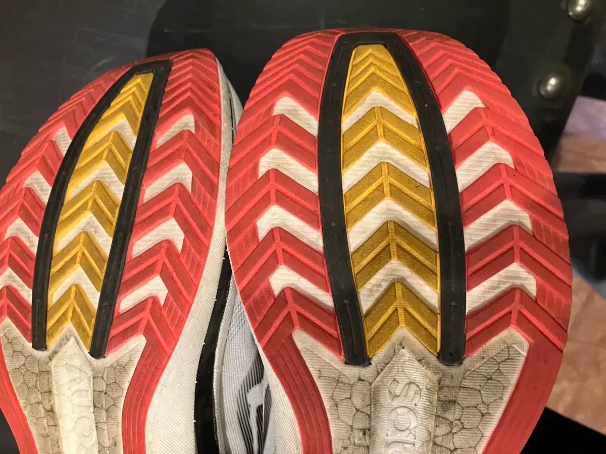 サッカニー エンドルフィン