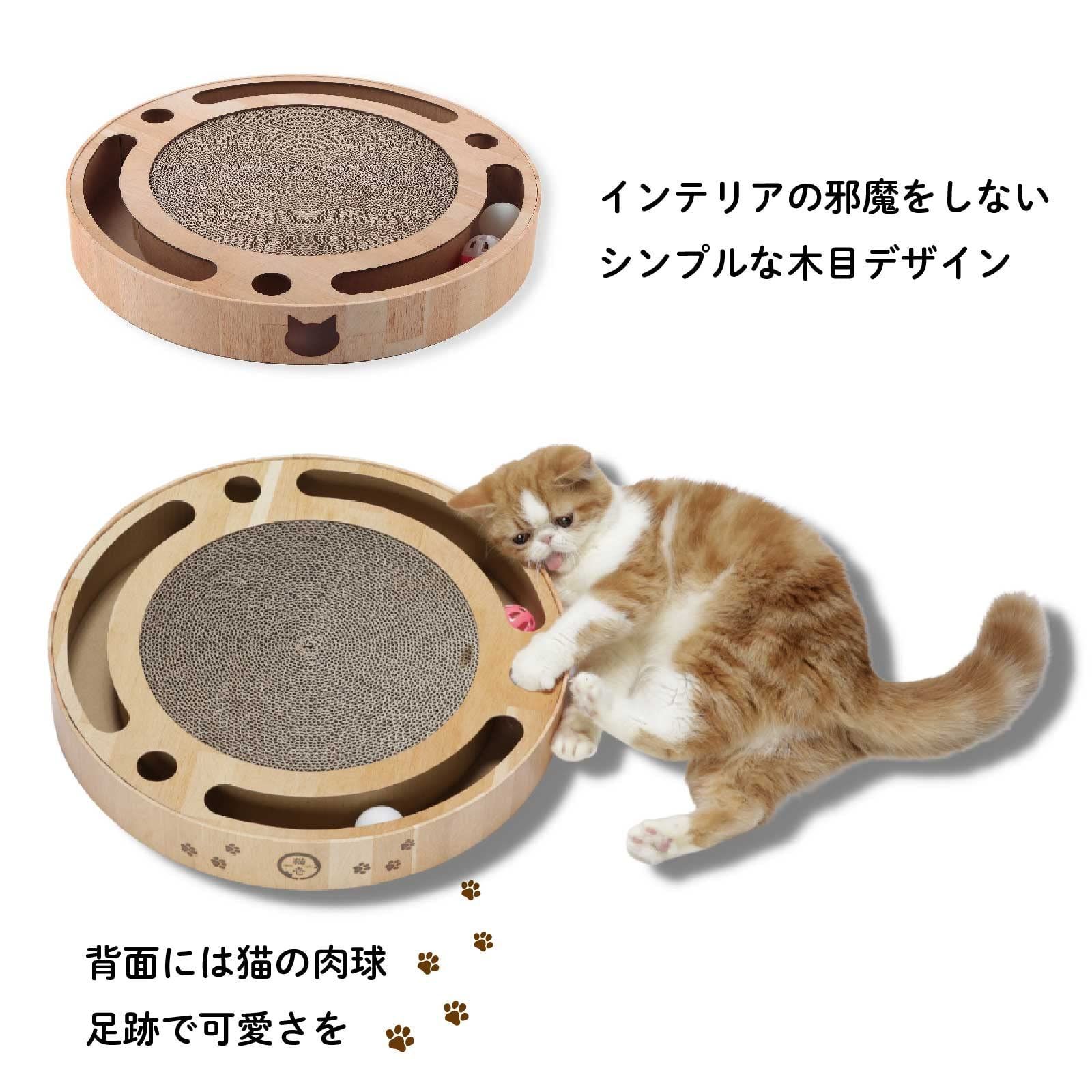 数量 猫壱
