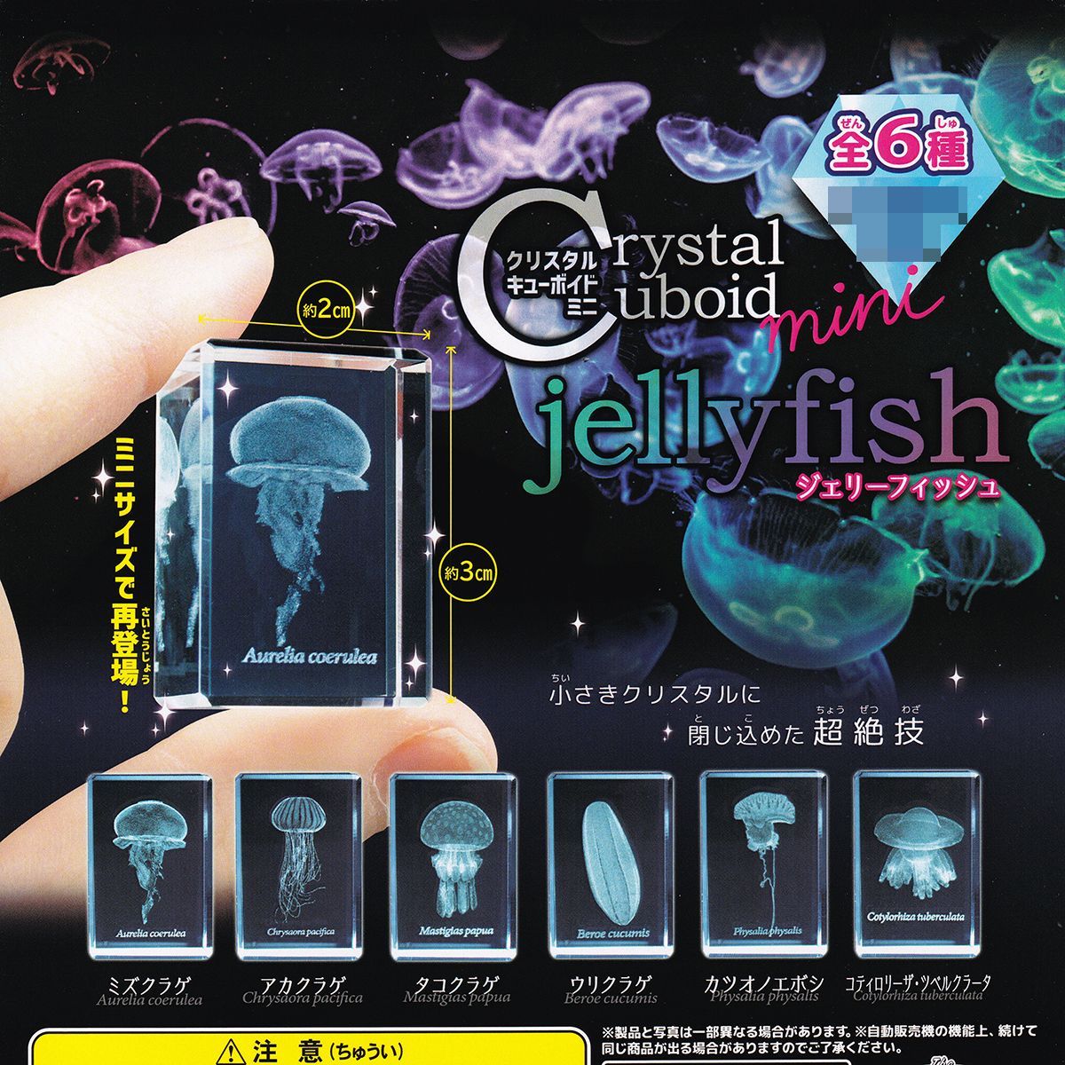 【レア盤】Jellyfish /Fan Club４枚組 ジェリーフィッシュ レア盤】Jellyfish /Fan Club4枚組 ジェリーフィッシュ CD