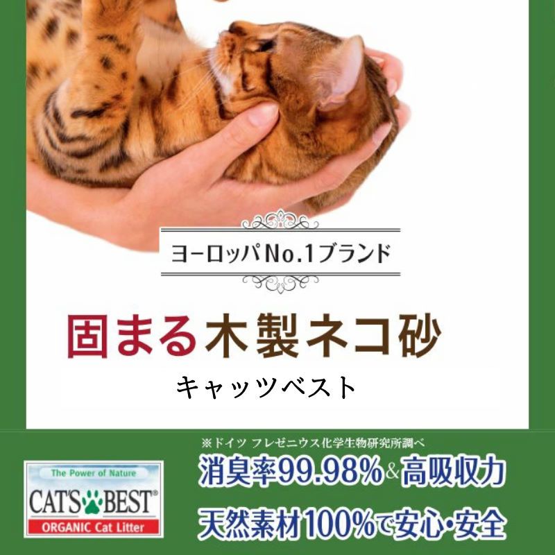 キャッツベスト オリジナル6個セット