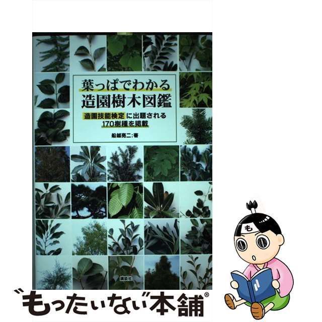 中古】 葉っぱでわかる造園樹木図鑑 造園技能検定に出題される170樹種を掲載 / 船越亮二 / 講談社 - メルカリ