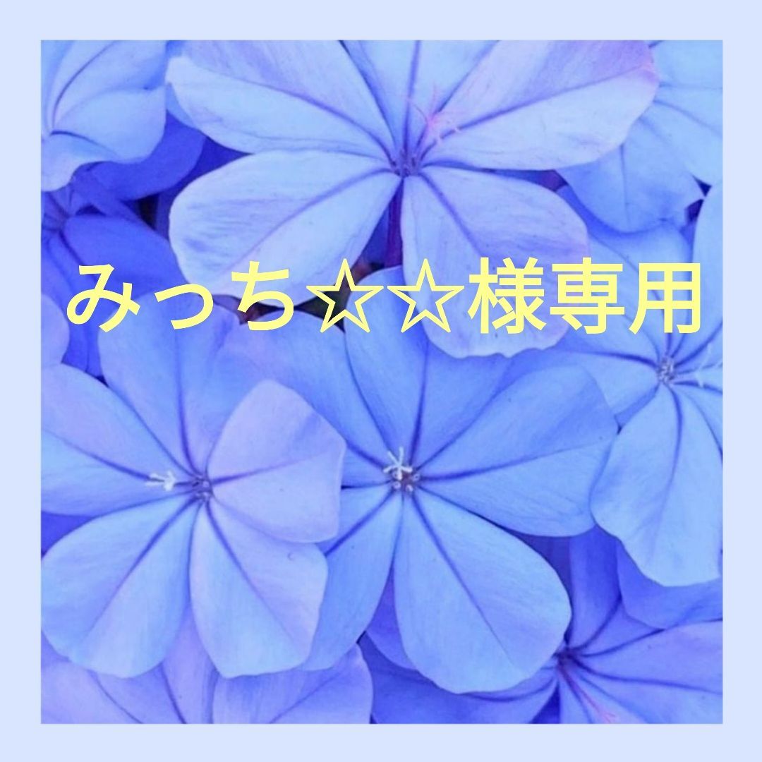 ひまわりさん専用です❤️ みっち様専用 - メルカリ
