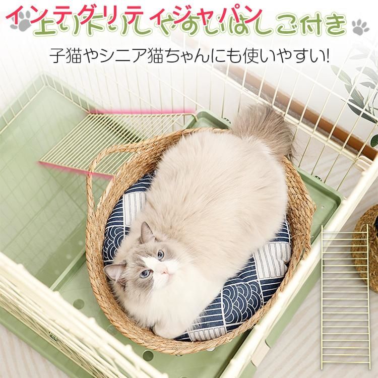 頑丈