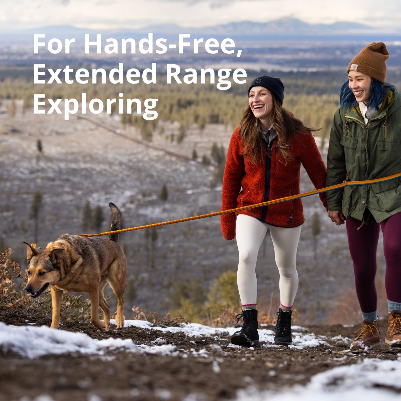 ローマーリーシュ