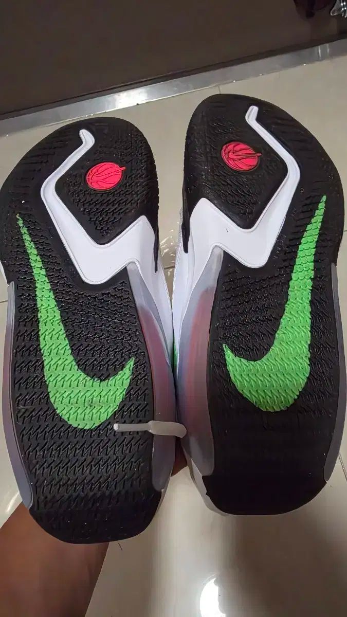  NIKE ナイキ バドミントンシューズ 250 mm 販売 その他 バドミントン