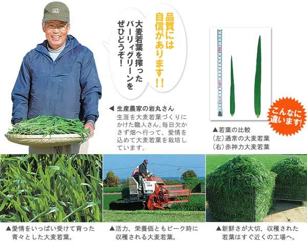 30包 有機大麦若葉エキス