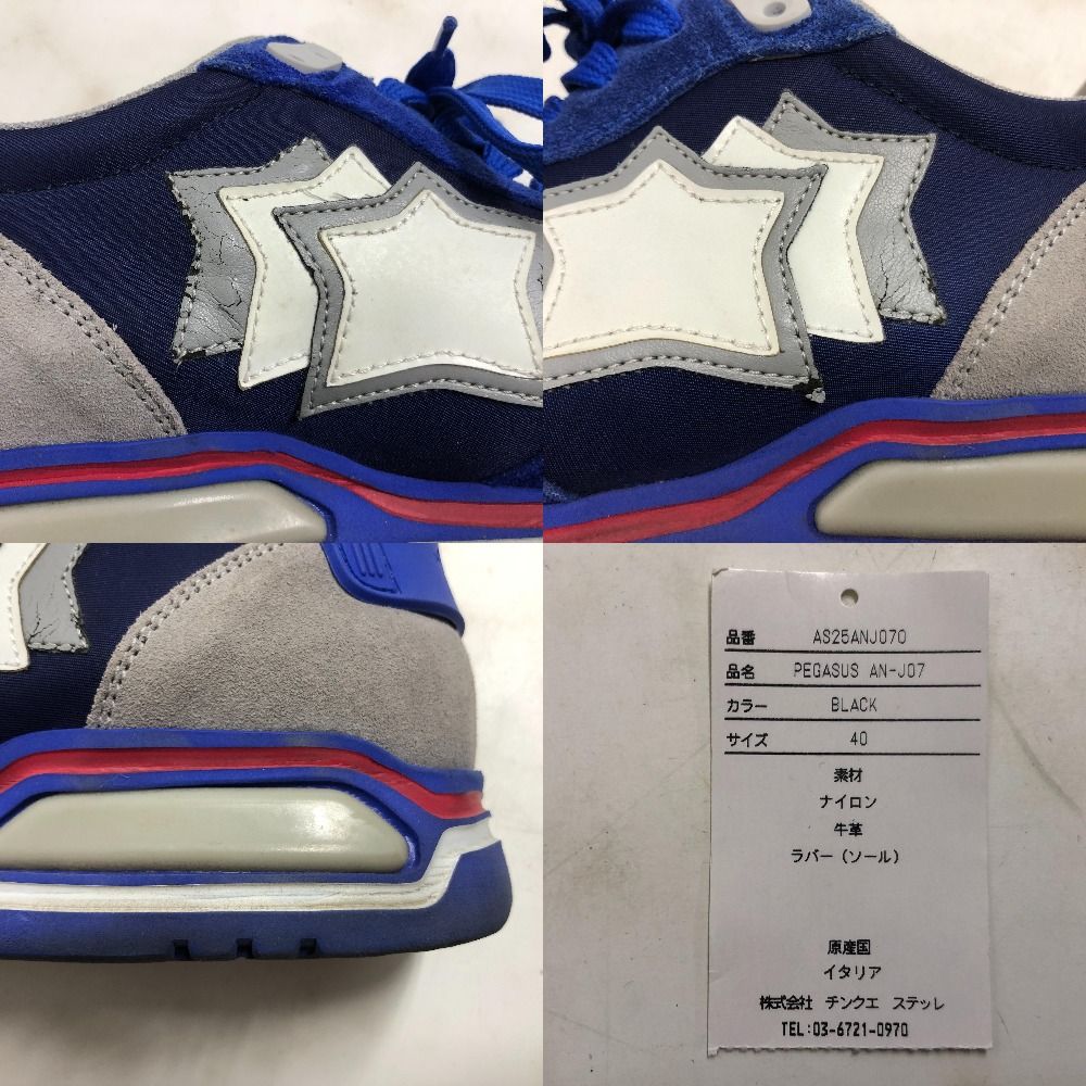 02w18790 Atlantic STARS アトランティックスターズ PEGASUS AN