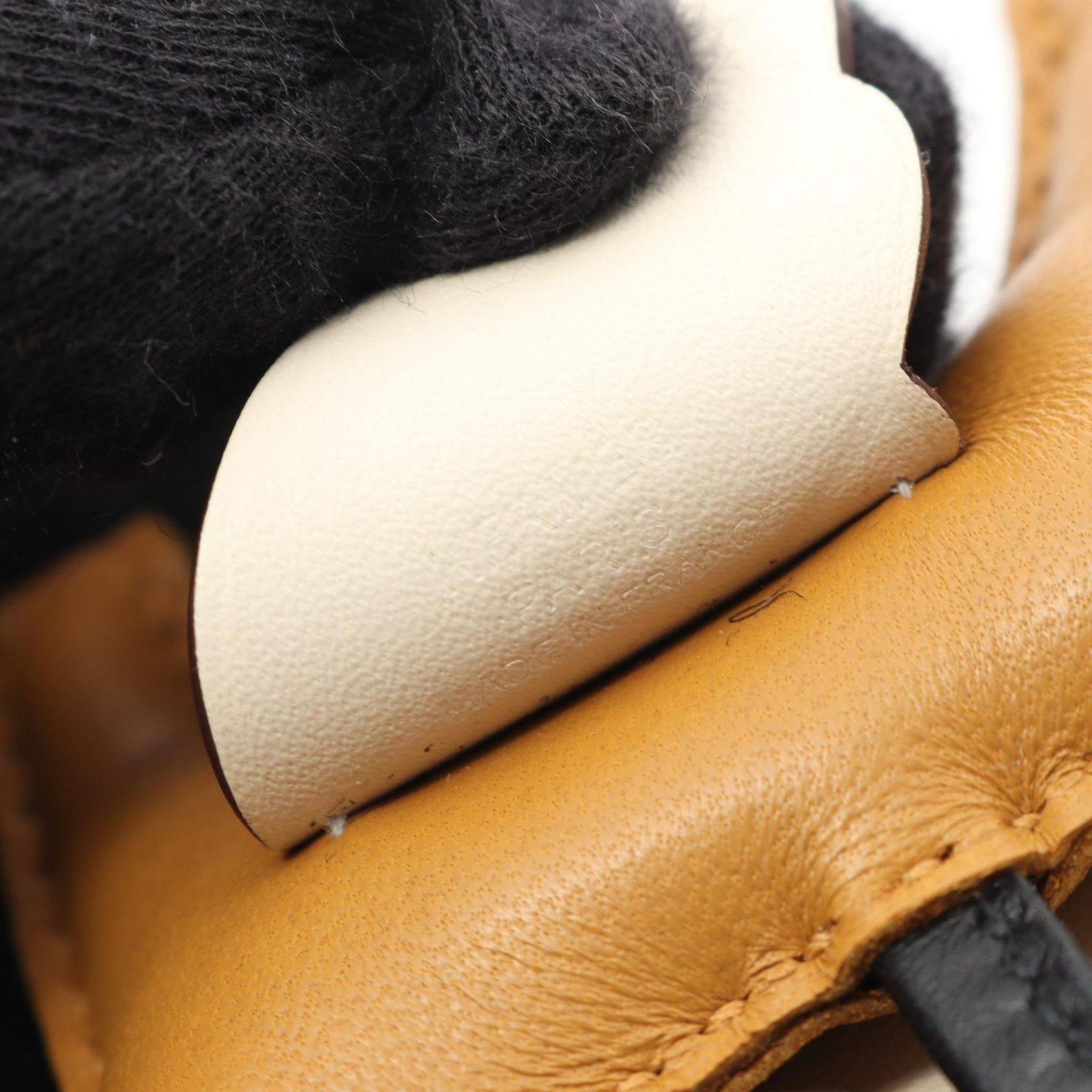 THE SPERM WHALE 5.9 フィン有 スパムホエール Sperm whale | Zoo