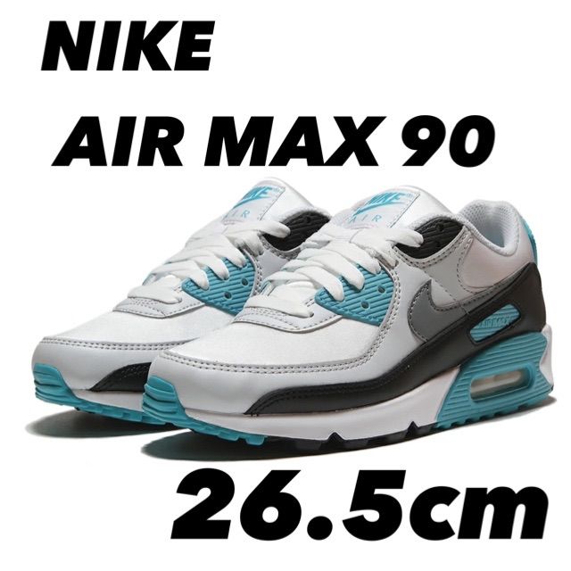 NIKE AIR MAX 90 ナイキ エアマックス 90 WHITE/GREY/BLACK FB8570-101 26.5cm - メルカリ