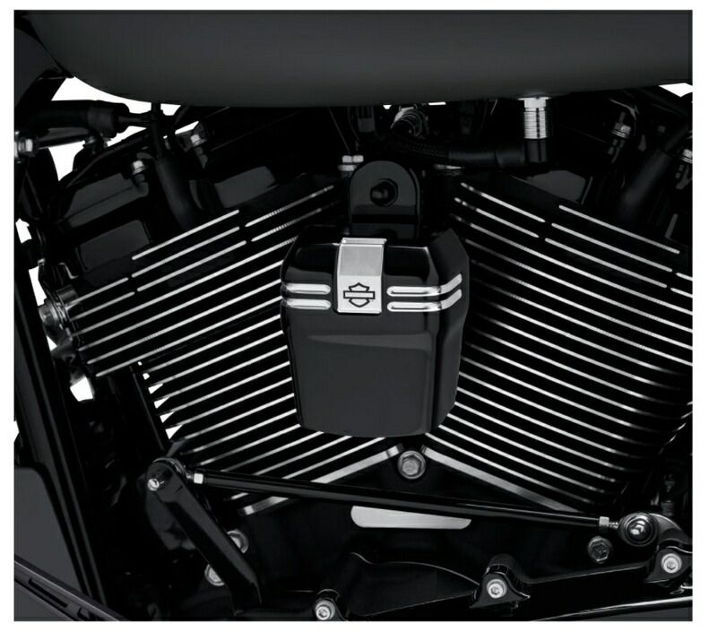 ホーンカバー 1993年以降サイドマウントホーン装着車