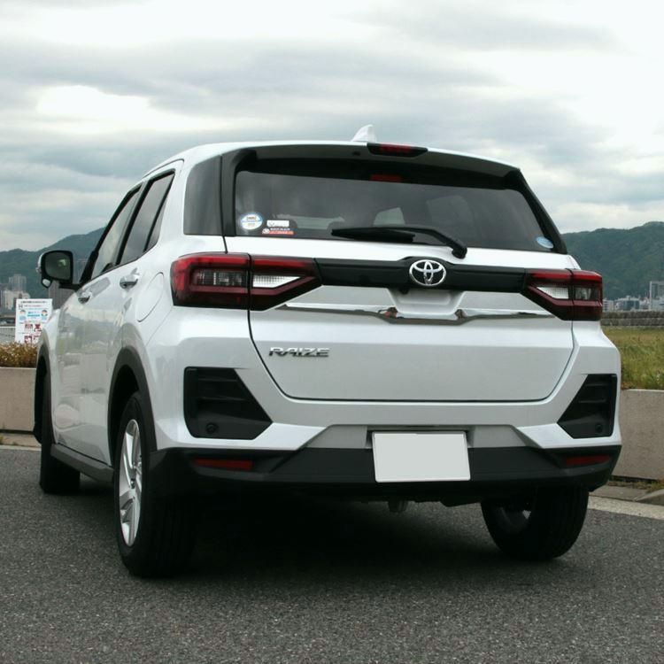 バックドアガーニッシュ