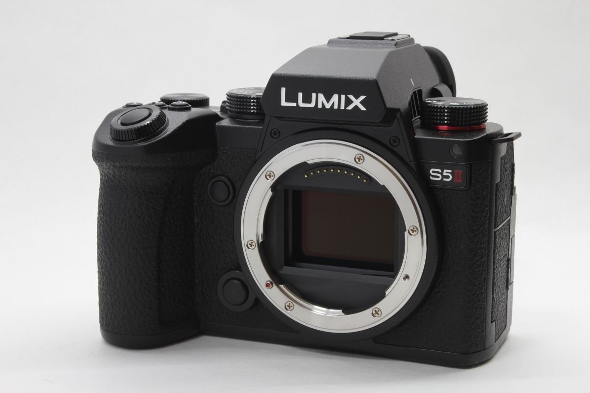 ショット数116回 上品 パナソニック Panasonic LUMIX S 5Ⅱ DC 5 M 2 W 50 mm f 1 8 20 60 3 6 バッテリー 充電器 元箱