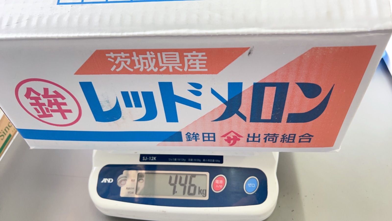 レノンハート 秀品 甘い蜜蜂交配 赤肉メロン レッドメロン