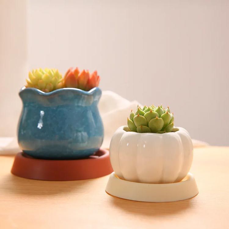 植木鉢 水受け皿 植木鉢トレー 鉢台 鉢皿 受皿 10枚セット トレイ