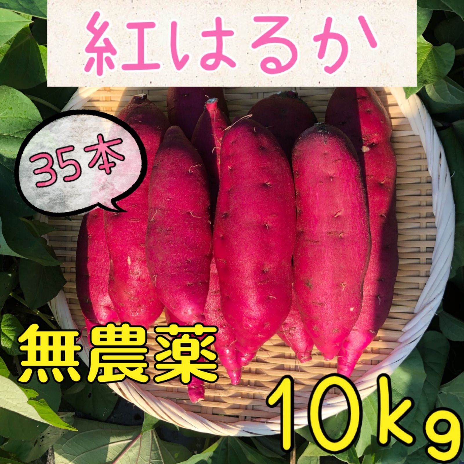 さつまいも 紅はるか 無農薬 10キロ M〜3Lサイズ 35本前後 15 ...