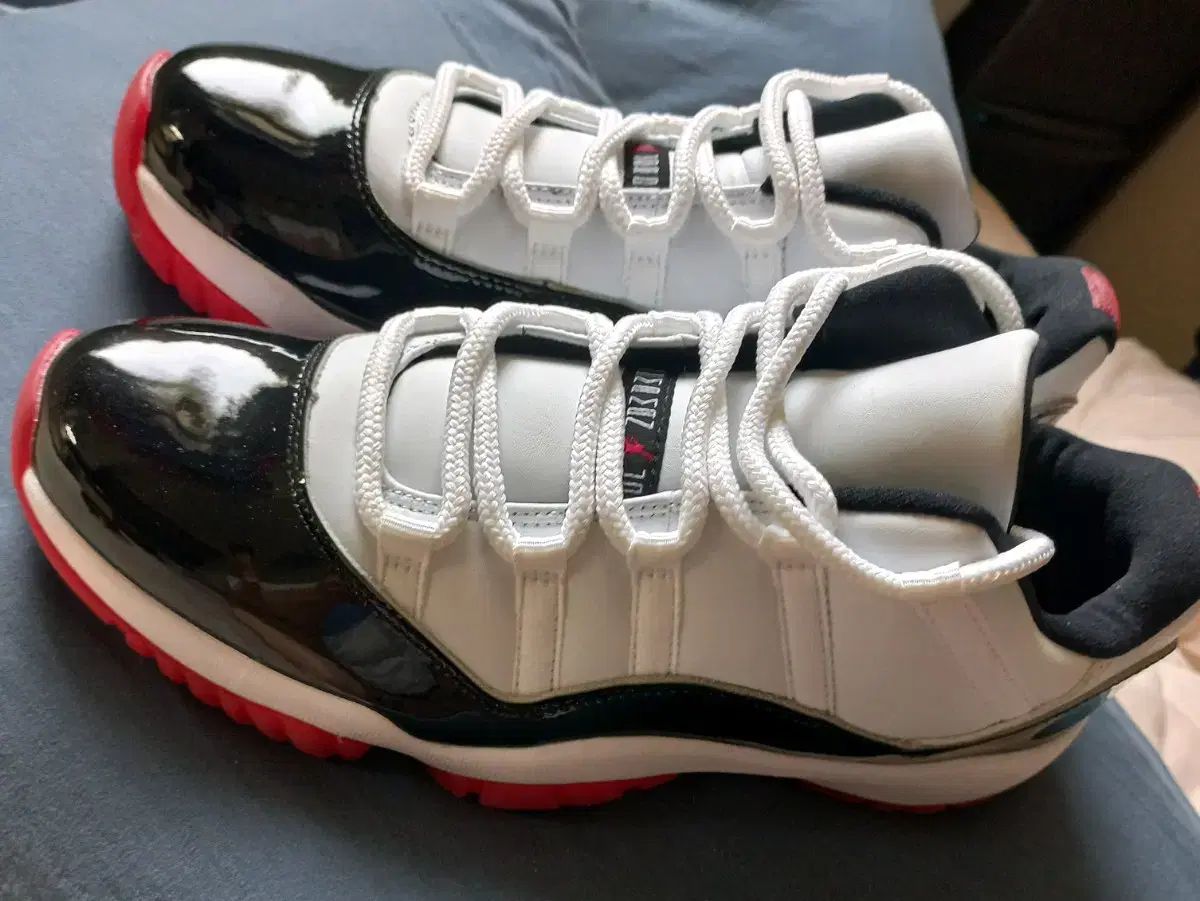 Air Jordan11 レトロ コンコルド ブレーザー ロー 275
