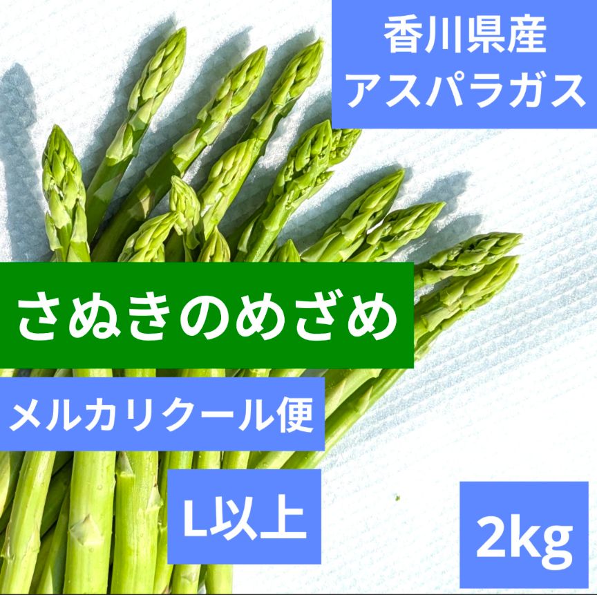 香川産アスパラ】さぬきのめざめ Lサイズ以上 2kg｜農家直送